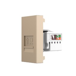 Розетка интернет RJ-45 кат. 6 Livolo, цвет золотой (механизм)