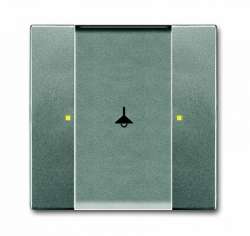 ABB 6125/02-803-500 Сенсор 1/2-клавишный, метеор арт. 6115-0-0224