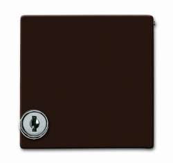 ABB Allwetter 44 Плата центральная для серий и Reflex SI, с индивидуальным зам., IP44, Allwette 44, коричневый арт. 1710-0-3788