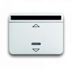 ABB Alpha nea ИК-приёмник с маркировкой для 6953 U, 6411 U, 6411 U/S, 6550 U-10x, 6402 U, белый матовый арт. 6020-0-1371