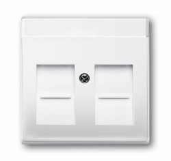 ABB BJB Basic 55 Бел Плата центральная  2-я для коммуникац розеток 0211 с суппортами 18** арт. 1710-0-3945