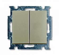 ABB BJB Basic 55 Шамп Выключатель 2-х клавишный арт. 1012-0-2167