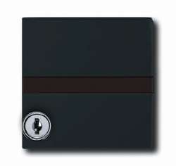 ABB BJE Allwetter 44 Антрацит Кольцо промежуточное с крышкой, замком и шильдиком арт. 1710-0-1985