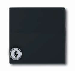 ABB BJE Allwetter 44 Антрацит Кольцо промежуточное с крышкой с замком арт. 1710-0-1977