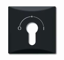 ABB BJE Allwetter 44 Антрацит Накладка для выключателя с замком (2733 USL-101) арт. 1710-0-1902