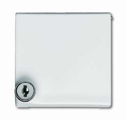 ABB BJE Allwetter 44 Беж Кольцо промежуточное с крышкой с замком арт. 1710-0-2298