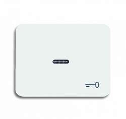 ABB BJE Alpha Nea/Exl Бел глянц Клавиша 1-ая с прозрачной линзой и симв ключ арт. 1751-0-2268