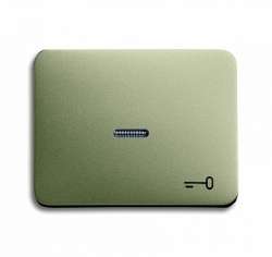 ABB BJE Alpha Nea/Exl Палладий Клавиша 1-я с прозрачной линзой и симв ключ арт. 1751-0-2830