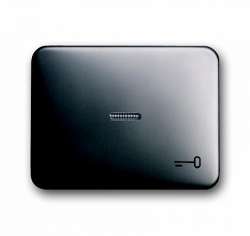 ABB BJE Alpha Nea/Exl Платина Клавиша 1-ая с прозрачной линзой и симв ключ арт. 1751-0-1658