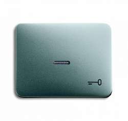 ABB BJE Alpha Nea/Exl Титан Клавиша 1-я с прозрачной линзой и симв ключ арт. 1751-0-2841