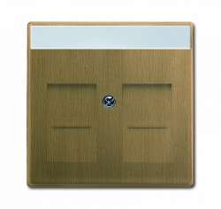 ABB BJE Династия Античная латунь Накладка комм. роз. 1810, 1812, 1814, 1816 и 1818, с полем надписи арт. 1710-0-4085