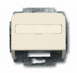 ABB BJE Duro Накладка с суппортом для коммуникационных разъёмов арт. 1724-0-1002