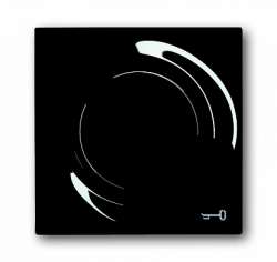 ABB BJE Impuls Чёрный Бриллиант Клавиша 1-я подсветкой и симв ключ арт. 1753-0-9749