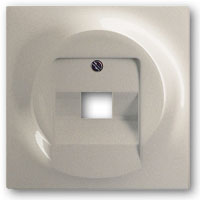 ABB BJE Impuls Шампань Накладка 1-й ТЛФ и комп розетки наклонной (мех 213/16) арт. 1753-0-8998