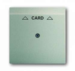 ABB BJE Impuls Шампань Накладка карточного выключателя (мех 2025 U) арт. 1753-0-6737