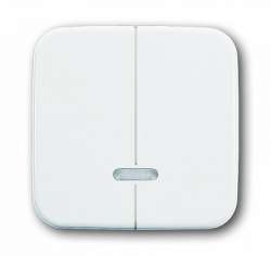 ABB BJE Reflex Накладка двухканального нажимного светорегулятора арт. 6599-0-2889