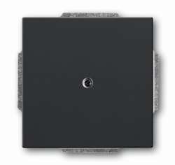 ABB BJE Solo/Future Антрацит Заглушка арт. 1710-0-3612