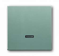 ABB BJE Solo/Future Серебристо-алюминиевый Клавиша для светорегулятора 6550 U-10x,6560 U-101,6593 U арт. 6599-0-2887