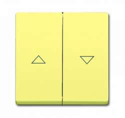 ABB BJE Solo/Future Желтый Сахара Клавиша для механизма выключателя жалюзи 2000/4 U и 2020/4 US арт. 1751-0-3011