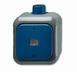 ABB Busch Duro Переключатель 1-клавишный, 2-полюсный, IP66, откр.монтаж, для работы в агрессивных средахI арт. 1084-0-0821