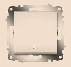 ABB Cosmo Титаниум Выключатель кнопочный с символом Ключ арт. 619-011400-204