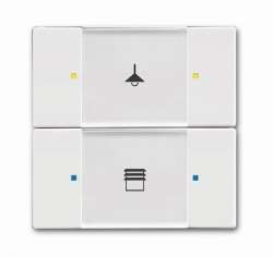 ABB KNX Альпийский белый Сенсор 2/4-кл. многофункциональный арт. 6116-0-0209