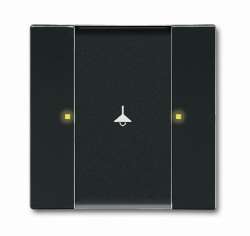 ABB KNX Антрацит Сенсор 1/2-клавишный 6125/02-81-500 арт. 6115-0-0216