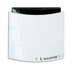 ABB KNX Triton Альпийский белый Сенсор 1/2-кл. с ИК-приемником 6320/10-24G-500 арт. 6320-0-0004