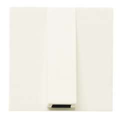 ABB NIE Zenit Шампань Вывод кабеля, 2 мод арт. N2207 CV