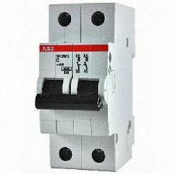 ABB SH202L Автоматический выключатель 2P 50A (C) 4,5 kA арт. 2CDS242001R0504