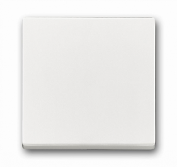 ABB Solo/future Клавиша для механизма одноклавишного выключателя/переключателя/кнопки, davos/альпийский белый арт. 1751-0-2749