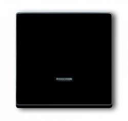 ABB Solo/future Клавиша для светорегулятора 6550 U-10x, 6560 U-101, 6593 U, реле 6401 U-10x, 6402 U, антрацит арт. 6599-0-2881