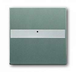 ABB Solo/future Клавиша с полем для надписи, со световодом, для выключателей/переключателей/кнопок, meteor/серый металлик арт. 1731-0-1975