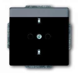 ABB Solo/future Розетка с/з 16А 250В с полем для надписи, антрацит арт. 2011-0-3802