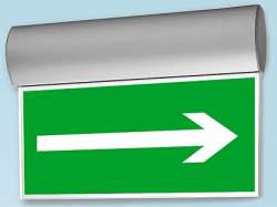 АСТЗ Светильник ДСО70-1.2-733 Twins LED, корпус AL, LED, БАП 3 ч., постоянный IP41 арт. 1070001733