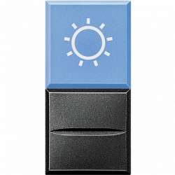 BT Axolute Антрацит Axial Кнопка с рассеивателем,1Р,голубой с симв.лампа,230 и 127 В~,10 А арт. HS4038LA/230