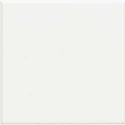 BT Axolute White Заглушка 2 мод арт. HD4951