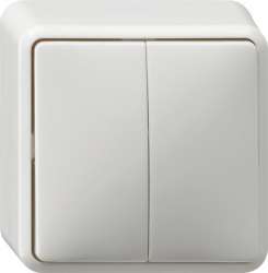 Gira Бел Выключатель двуклавишный 10А IP20 арт. 010513