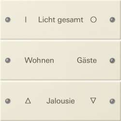 Gira Instabus System 55 Гравировка Набор клавиш 3-местн. арт. 220301