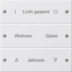 Gira Instabus System 55 Гравировка Набор клавиш 3-местн. арт. 220303