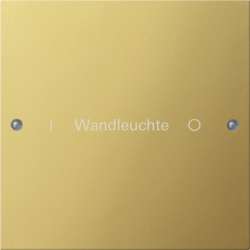 Gira KNX Комплект клавиш, 1 шт. гравировка арт. 2131608