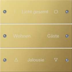 Gira KNX Комплект клавиш, 3 шт. гравировка арт. 2133608