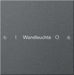 Gira Набор клавиш 1-местный, гравировка арт. 220128