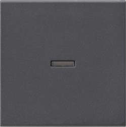 Gira S-55 Антрацит Клавиша 1-ая с подсветкой арт. 029028