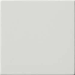 Gira S-55 Бел Накладка светорегулятора/выключателя нажимного с ДУ (радио) арт. 054327