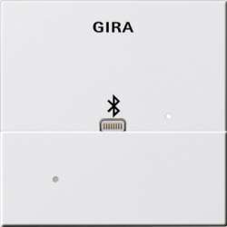 Gira S-55 Бел глянц Адаптер Apple Lightning для вставки док-станции арт. 228703