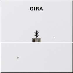 Gira S-55 Бел глянц Адаптер USB Mikro-B для вставки док-станции арт. 228503