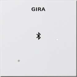 Gira S-55 Бел глянц Глухая крышка для вставки док-станции арт. 228803