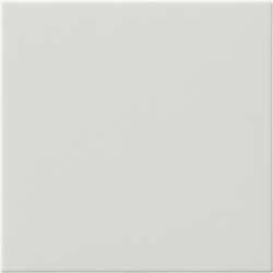 Gira S-55 Бел глянц Накладка светорегулятора/выключателя нажимного с ДУ (радио) арт. 054303