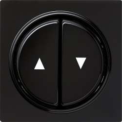 Gira S-Color Черный Клавиша 2-ая арт. 029447